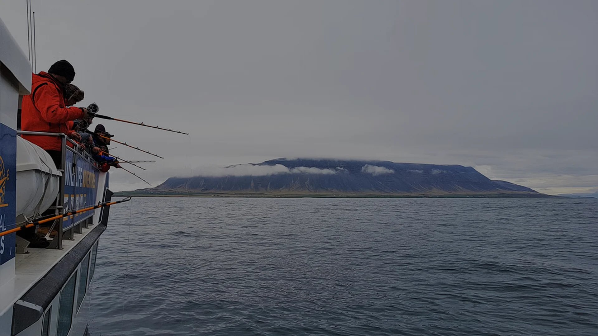 Combination tour showing whale sighting and fishing activities from same vessel