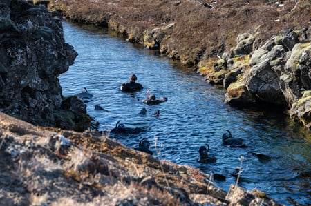 Group of people snorkeling in Silfra between tectonic plates