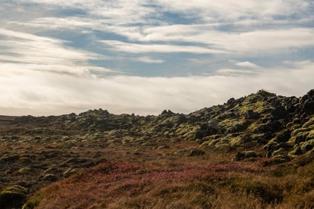 Lava fields covered with moss