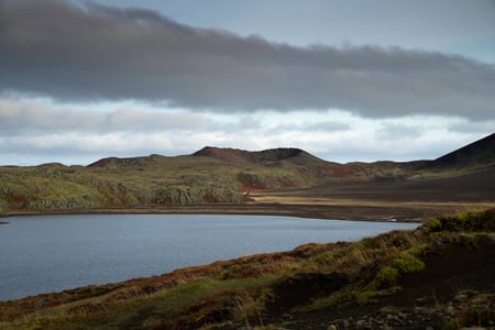 Swam flying above the site of Berserkjahraun.