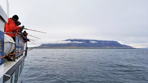 Fishing boat with passengers whale watching and sea angling in Iceland