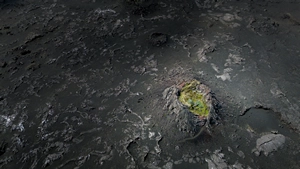A volcanic crater, filled with green vegetation