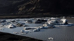 Floating icebergs on the Icelandic South Coast
